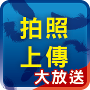 拍照上傳活動